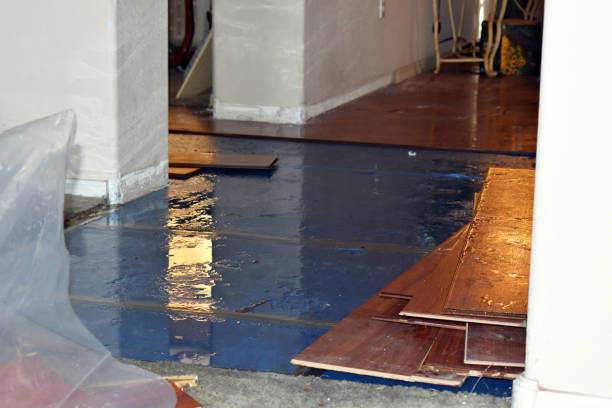 Professional Sewage Cleanup technician working in Spade, TX